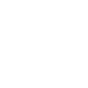 Vicarius logo